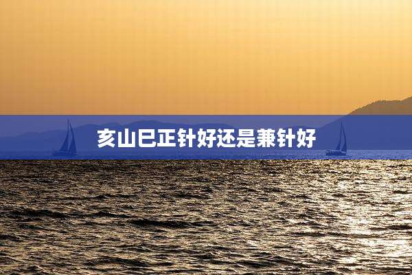 亥山巳正针好还是兼针好