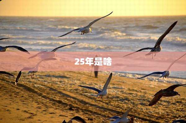 25年是啥