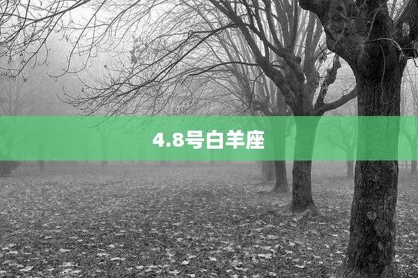 4.8号白羊座