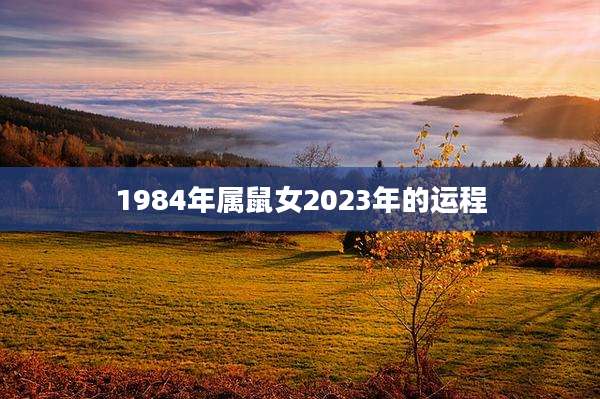 1984年属鼠女2023年的运程