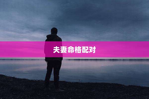 夫妻命格配对