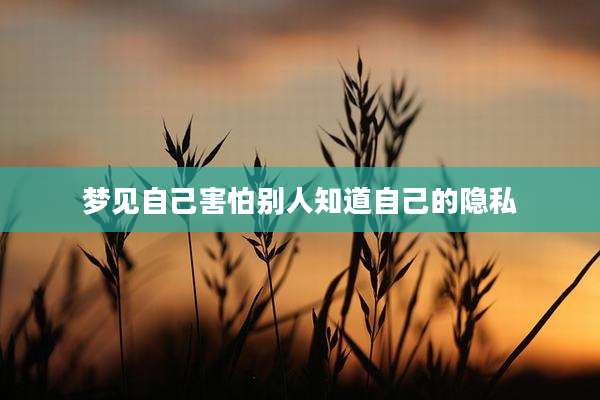 梦见自己害怕别人知道自己的隐私