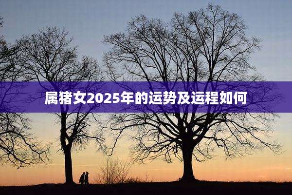 属猪女2025年的运势及运程如何