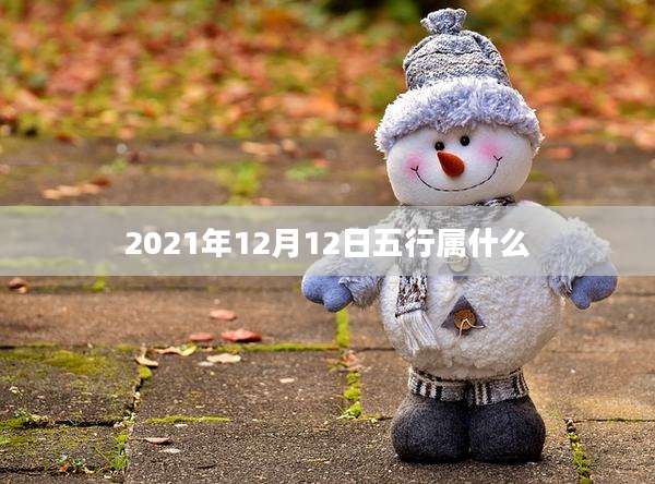 2021年12月12日五行属什么