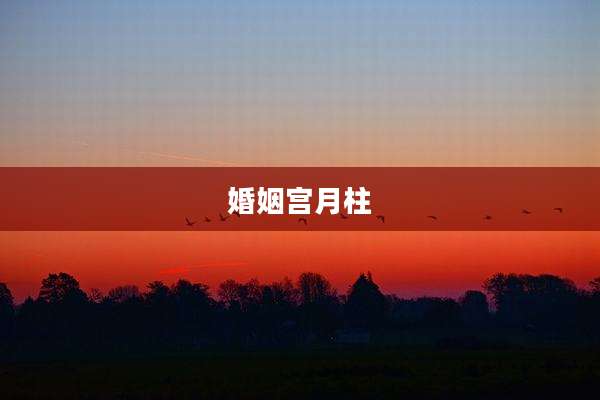婚姻宫月柱