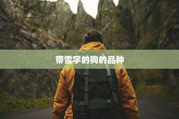 带雪字的狗的品种