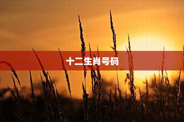 十二生肖号码