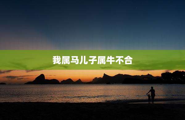 我属马儿子属牛不合