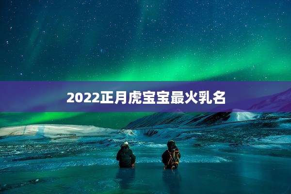 2022正月虎宝宝最火乳名