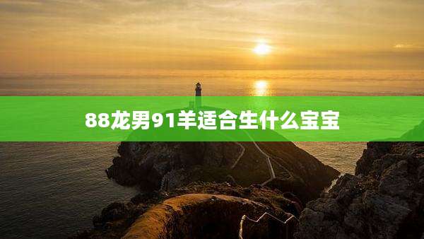 88龙男91羊适合生什么宝宝