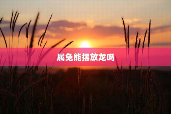 属兔能摆放龙吗
