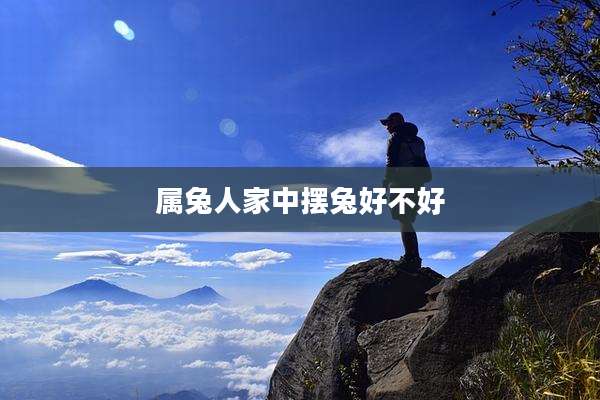 属兔人家中摆兔好不好