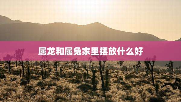 属龙和属兔家里摆放什么好