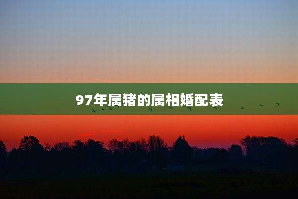 97年属猪的属相婚配表