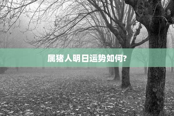 属猪人明日运势如何?