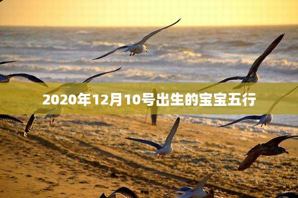 2020年12月10号出生的宝宝五行