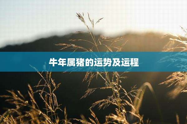 牛年属猪的运势及运程