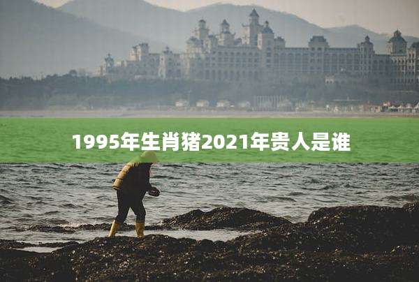 1995年生肖猪2021年贵人是谁