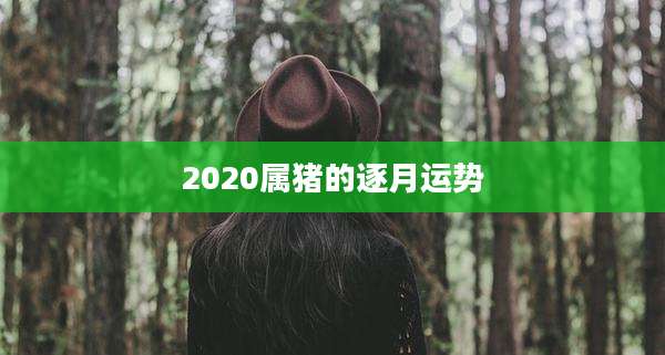 2020属猪的逐月运势