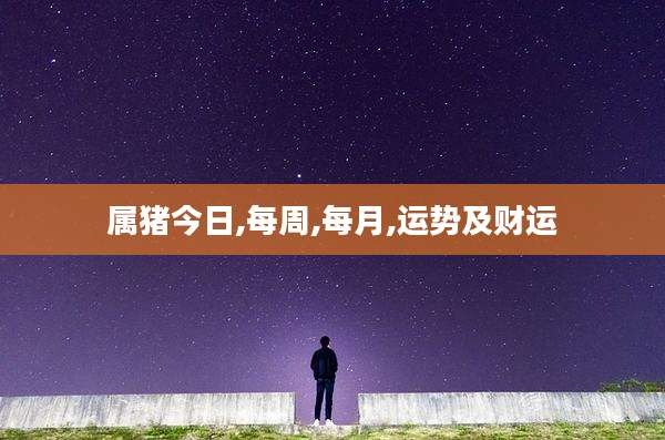 属猪今日,每周,每月,运势及财运