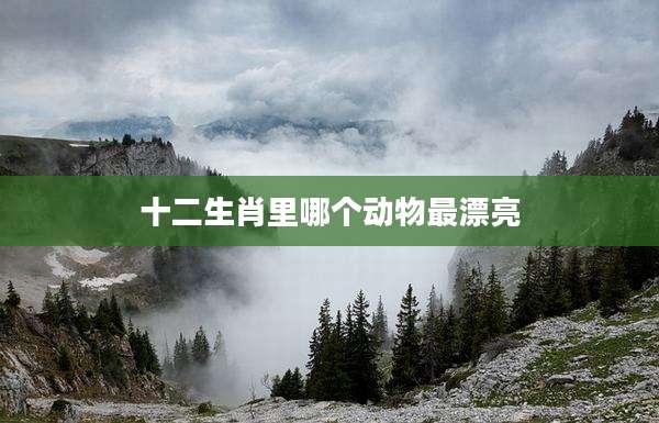 十二生肖里哪个动物最漂亮