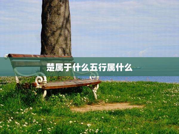 楚属于什么五行属什么