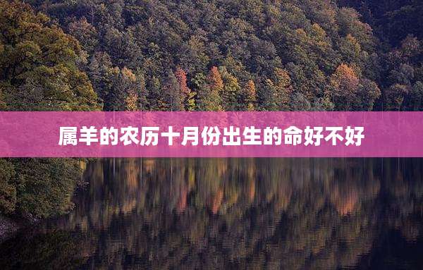属羊的农历十月份出生的命好不好