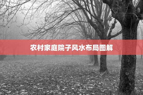 农村家庭院子风水布局图解