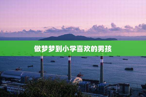 做梦梦到小学喜欢的男孩