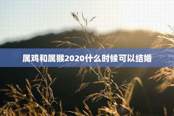 属鸡和属猴2020什么时候可以结婚