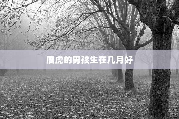 属虎的男孩生在几月好