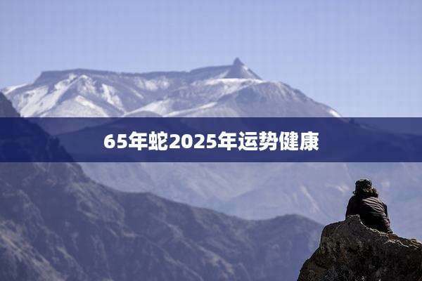 65年蛇2025年运势健康