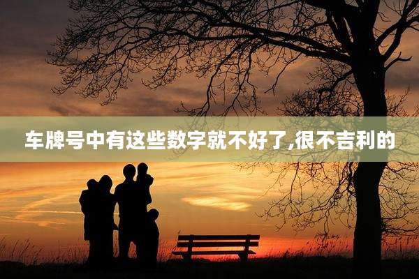 车牌号中有这些数字就不好了,很不吉利的