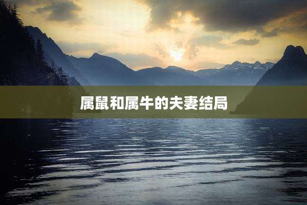 属鼠和属牛的夫妻结局