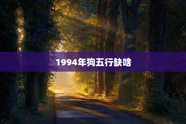 1994年狗五行缺啥