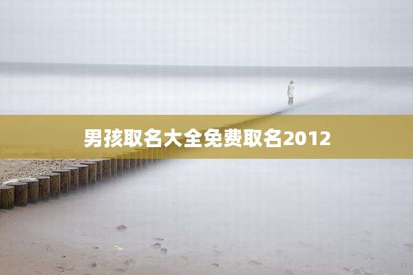 男孩取名大全免费取名2012