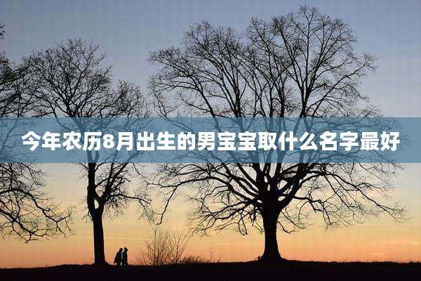 今年农历8月出生的男宝宝取什么名字最好