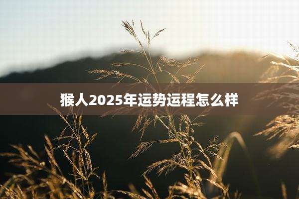 猴人2025年运势运程怎么样