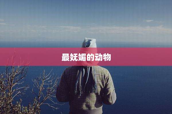 最妩媚的动物