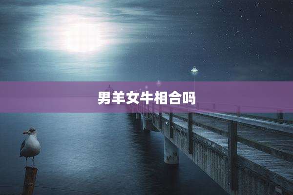 男羊女牛相合吗