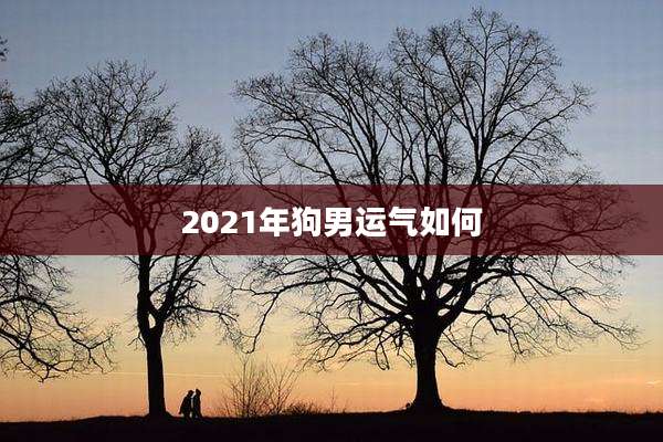 2021年狗男运气如何