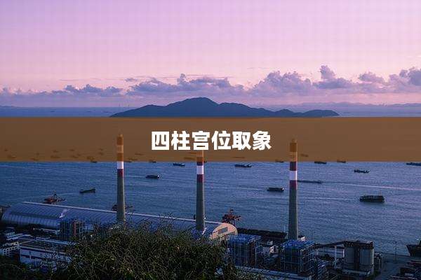 四柱宫位取象