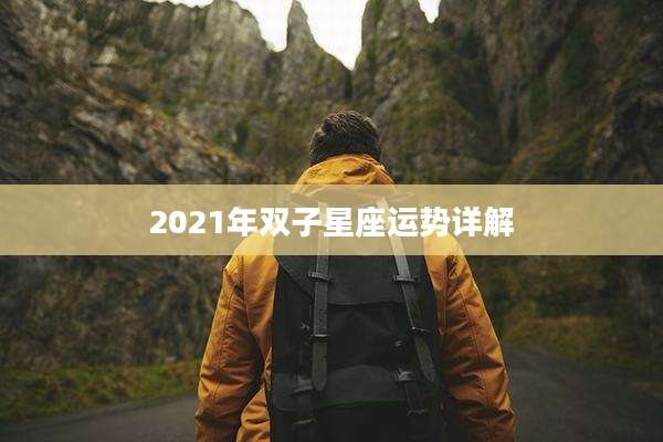 2021年双子星座运势详解