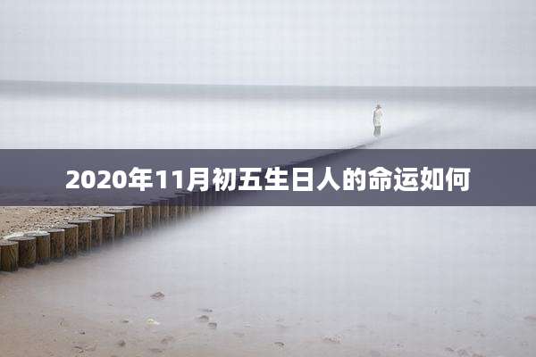 2020年11月初五生日人的命运如何