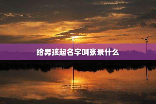 给男孩起名字叫张景什么