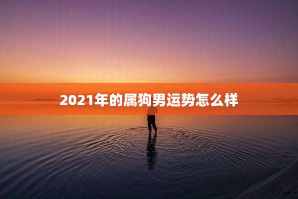 2021年的属狗男运势怎么样