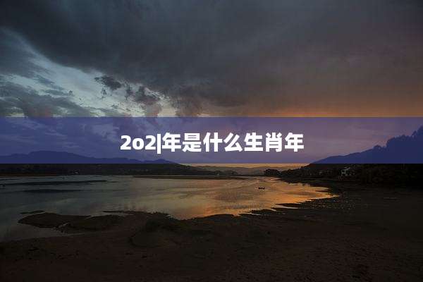 2o2|年是什么生肖年