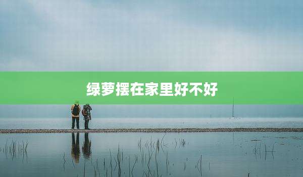 绿萝摆在家里好不好