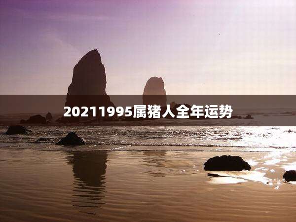 20211995属猪人全年运势