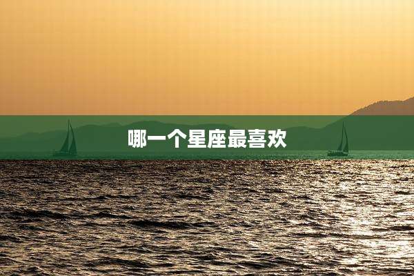 哪一个星座最喜欢